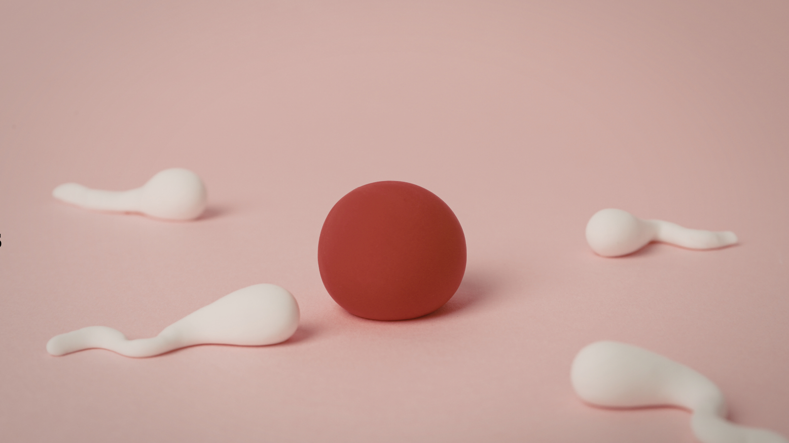 What Is Sperm Donation?
