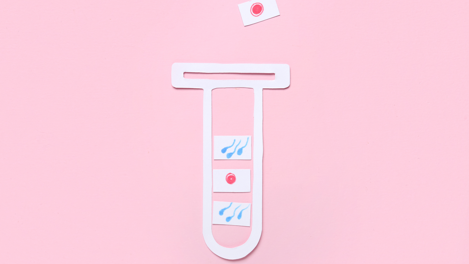 embryo glue Georgia, embryo glue Tbilisi, IVF embryo glue Georgia, frozen embryo transfer glue, FET embryo glue Georgia, implantation support IVF Georgia, embryo adhesion medium Georgia, IVF in Tbilisi, fertility clinic Georgia, embryo transfer Georgia